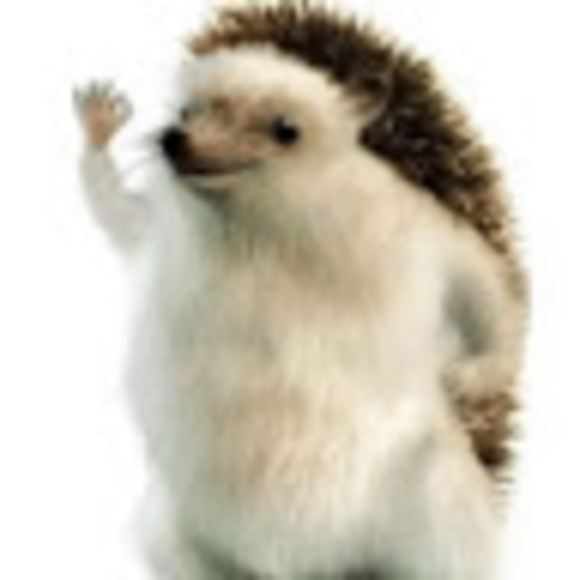 amandajchu